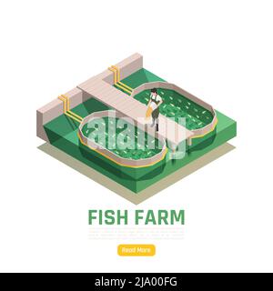 Natürliche Ressourcen Aquakultur isometrische Webseite Element mit Fischfarm Produktion Arbeiter Fütterung Fingerlinge Vektor-Illustration Stock Vektor