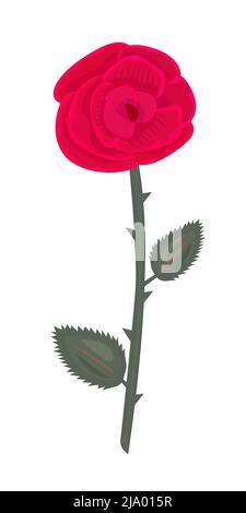 Einzelne rote Rose mit großen Knospen und Blättern Stock Vektor