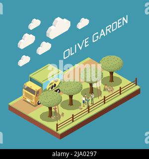 Olive Produktion isometrische Zusammensetzung mit Blick im Freien auf den Garten mit Reihe von Bäumen LKW und Menschen Vektor Illustration Stock Vektor