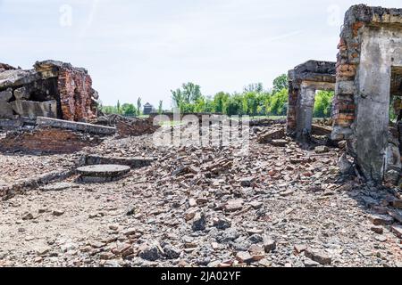 Ruinen der Gaskammer und des Krematoriums im Konzentrationslager Auschwitz-Birkenau Stockfoto