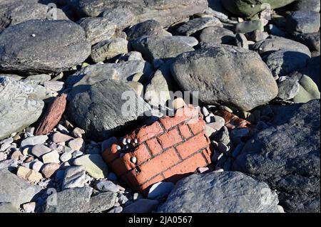 Felsen, Steine am Strand von Devon an einem sonnigen Tag Stockfoto