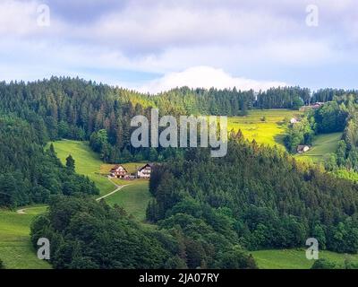 Panoramablick über die sanften Hügel des Schwarzwaldes. Top-Wanderziele im Schwarzwald. Dollenberg bei Bad Peterstal-Griesbach. Stockfoto