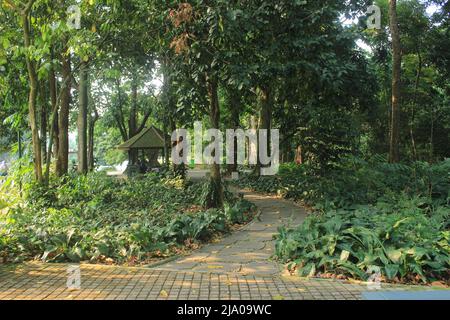 Fußweg zum Pavillon im Garten mit einer kühlen und schönen Atmosphäre unter dem Schatten der Bäume, geeignet als Urlaubsort und Treffpunkt Stockfoto