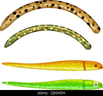 Bunte Würmer und Fischköder realistische isolierte Vektordarstellung Stock Vektor