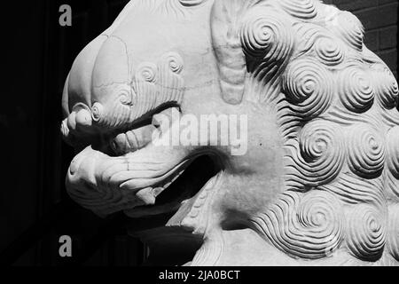 Schöne und aufwendige Kunstwerke eines chinesischen Drachen in Chinatown in Schwarz-Weiß. Stockfoto