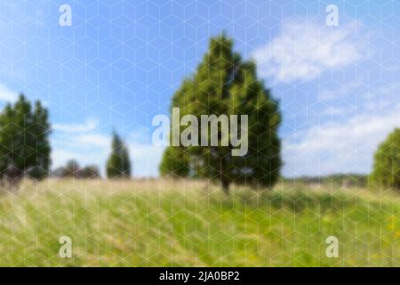 3D Würfel-Muster auf einem unscharfen natürlichen Hintergrund der Sommerlandschaft. Hochauflösender, abstrakter, lebendiger Hintergrund im Vollformat. Speicherplatz kopieren. Stockfoto