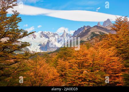 Die Landschaft des Cerro Torre Berges ist umgeben von der lebhaften Farbe der Lengas-Bäume im Herbst, El Chalten, Santa Cruz, Patagonien Argentinien. Stockfoto