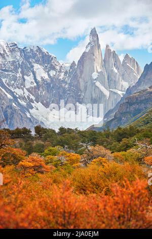 Die Landschaft des Cerro Torre Berges ist umgeben von der lebhaften Farbe der Lengas-Bäume im Herbst, El Chalten, Santa Cruz, Patagonien Argentinien. Stockfoto