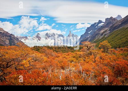 Die Landschaft des Cerro Torre Berges ist umgeben von der lebhaften Farbe der Lengas-Bäume im Herbst, El Chalten, Santa Cruz, Patagonien Argentinien. Stockfoto