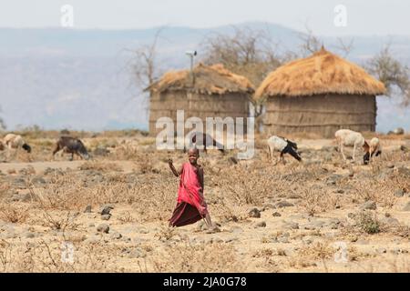 Ein junger Maasai-Junge mit Ziegen und Hütten im Hintergrund, Region Arusha, Tansania, Afrika. Stockfoto