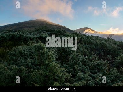 Landschaften der ukrainischen Karpaten, eine Reise zu den Bergkämmen in der Ukraine. Stockfoto