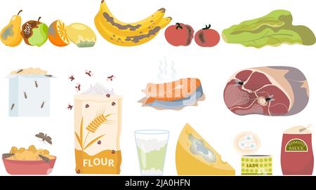 Gefahr Lebensmittel faulen Gift Set mit flachen isolierten Ikonen von abgelaufenen Produkten mit Schimmel und Insekten Vektor-Illustration Stock Vektor