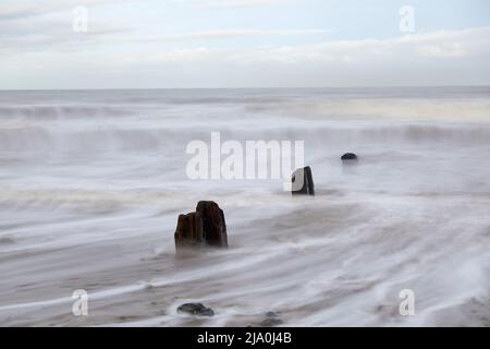 SEACAPES BEI CROMER NOROLK UK Stockfoto