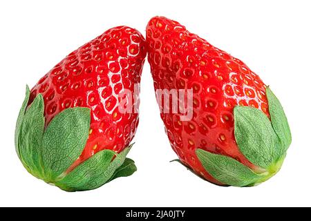 Zwei Erdbeeren hautnah auf weißem Hintergrund Stockfoto