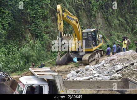 Guwahati, Guwahati, Indien. 26.. Mai 2022. Ein wilder Büffel, der nach der Beruhigung mit einem Fahrzeug angehoben wurde, der am Donnerstag, dem 26.. Mai 2022, durch den Fluss Brahmaputra bei Kharguli in Guwahati Assam India schwebte.Foto-DASARATH DEKA (Bild: © Dasarath Deka/ZUMA Press Wire) Stockfoto