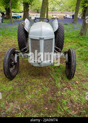 Vintage-Ferguson-Traktor, in einem bluebell-Coppice Stockfoto