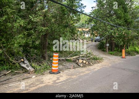 Zerstörung nach dem Sturm zurückgelassen. Stockfoto