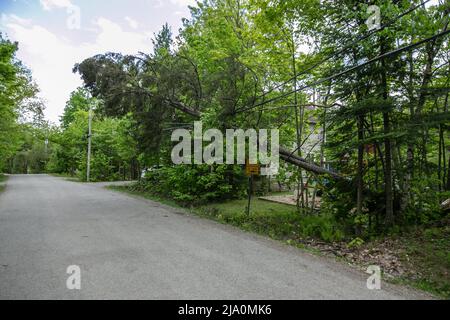 Zerstörung nach dem Sturm zurückgelassen. Stockfoto