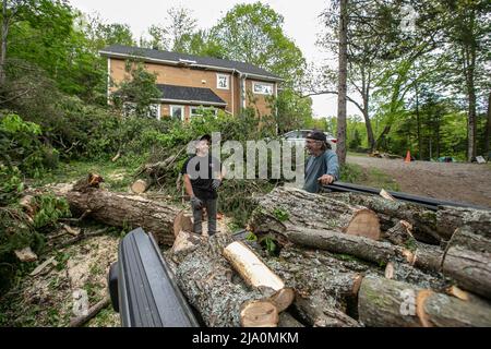 Zerstörung nach dem Sturm zurückgelassen. Stockfoto