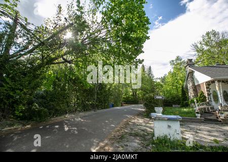 Zerstörung nach dem Sturm zurückgelassen. Stockfoto