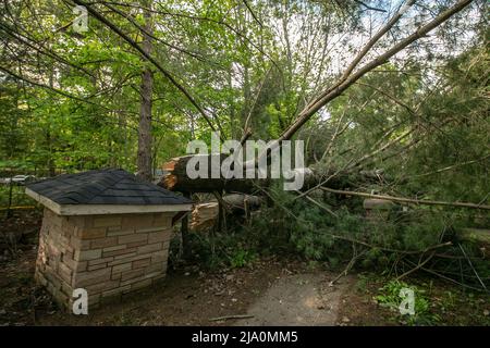 Zerstörung nach dem Sturm zurückgelassen. Stockfoto