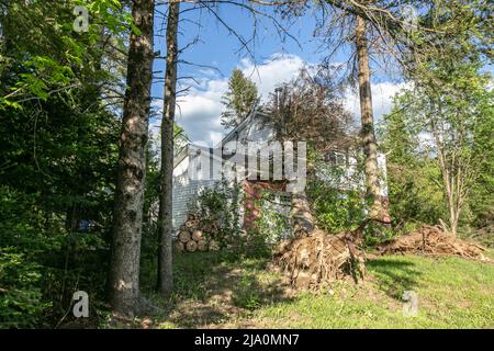 Zerstörung nach dem Sturm zurückgelassen. Stockfoto