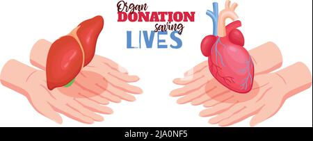 Spendenkonzept für menschliche Organe mit isometrischer Vektordarstellung für Herz und Leber Stock Vektor