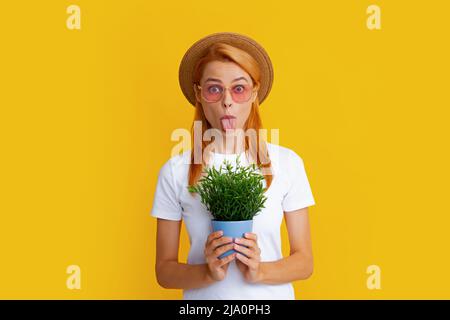 Fröhliche junge Frau mit Topfpflanze. Isolierter gelber Hintergrund, Nahaufnahme im Hochformat. Pflanzenpflege und Hausgartenarbeit. Frau pflanzt Blumen in den Topf. Stockfoto