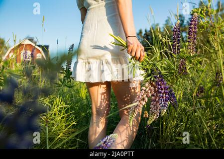 Schöne Frau in weißem Sonnenkleid, die die Sommerlandschaft genießt. Bunte Blumen pflücken, auf dem sonnigen Feld spazieren gehen Stockfoto