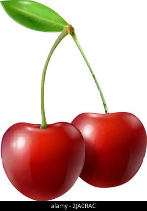 Realistische Beeren Zusammensetzung mit isolierten Bild von Kirsche mit reifen Blättern auf leeren Hintergrund Vektor-Illustration Stock Vektor