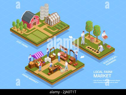 Lokale Bauernhöfe Öko-Produkte Anbau Ernte Verkauf auf Bauernmarkt 3 isometrische Infografik Kompositionen Vektor Illustration Stock Vektor