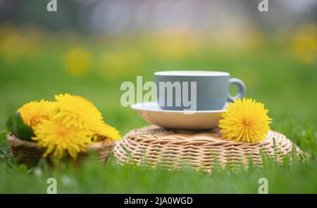 Kräutertee aus Dorn im Blumengarten Stockfoto