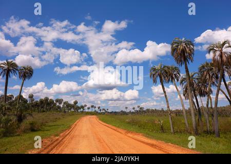 Die Landschaft im Nationalpark El Palmar, Concordia, Entre Rios, Argentinien. Stockfoto