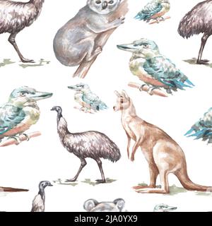 Tiere Australien grafische Illustration Hand gezeichnet Koala Strauß emu isoliert auf weißem Hintergrund gesetzt Stockfoto