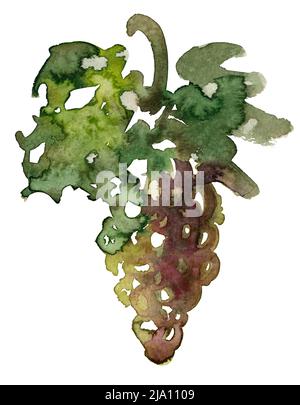 Aquarell-Illustration einer Weintraube mit Blättern in weißem Hintergrund Stockfoto