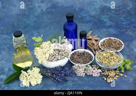 Zubereitung ätherischer Öle mit Kräutern aus Baldrian, Ashwagandha, Lavendel, Holunderblüte, Johanniskraut, Kamille. Pflanzliche Medizin Beruhigungsmittel. Stockfoto