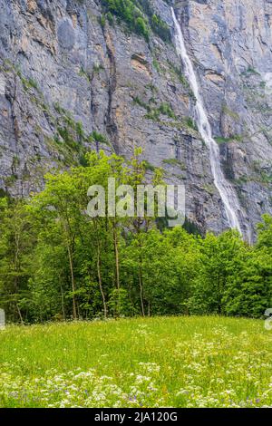 Murrenbach Wasserfall, Lauterbrunnen, Kanton Bern, Schweiz Stockfoto