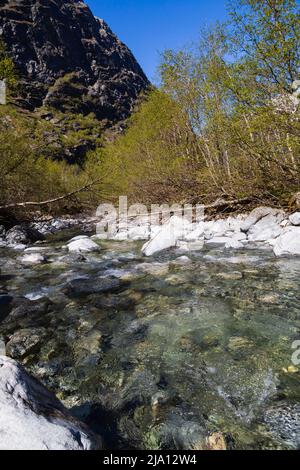 Kristallklares glaziales Schmelzwasser fließt in Richtung Lake Lovatnet, Norwegen Stockfoto