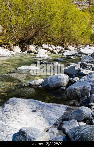 Kristallklares glaziales Schmelzwasser fließt in Richtung Lake Lovatnet, Norwegen Stockfoto