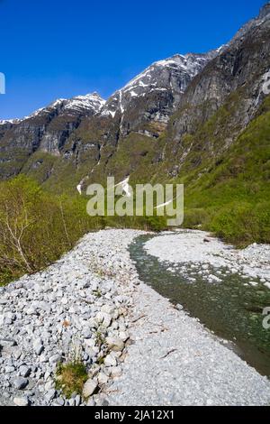 Kristallklares glaziales Schmelzwasser fließt in Richtung Lake Lovatnet, Norwegen Stockfoto