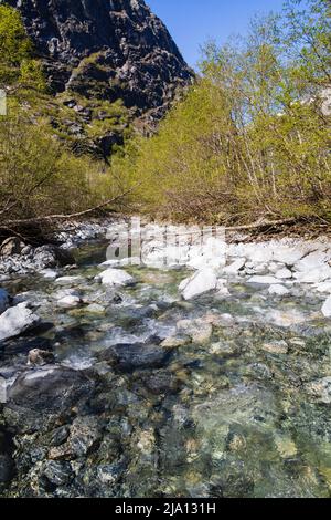 Kristallklares glaziales Schmelzwasser fließt in Richtung Lake Lovatnet, Norwegen Stockfoto