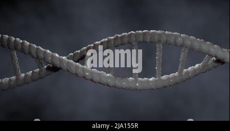 Abbildung des Makros der grauen 3D dna-Strangspinnerei Stockfoto