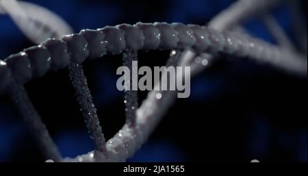 Abbildung des Makros der grauen 3D dna-Strangspinnerei Stockfoto