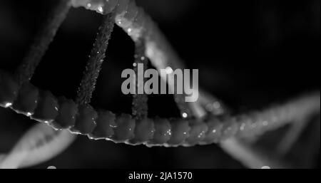 Abbildung des Makros der grauen 3D dna-Strangspinnerei Stockfoto