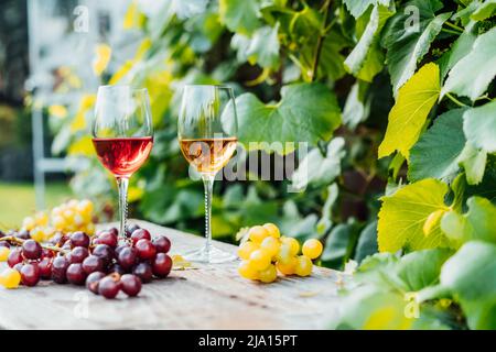Gläser mit Weiß- und Rotwein und Traubenbeeren auf dem Holztisch in den Weinbergen, Weingut mit grünem Blatthintergrund. Weinprobe, Degustation Stockfoto