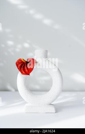 Moderne minimalistische nordische runde Keramikvase mit roter Anthurium-Blume auf weißem Hintergrund unter Sonnenlicht und Schatten an einer weißgrauen Wand. Tren Stockfoto