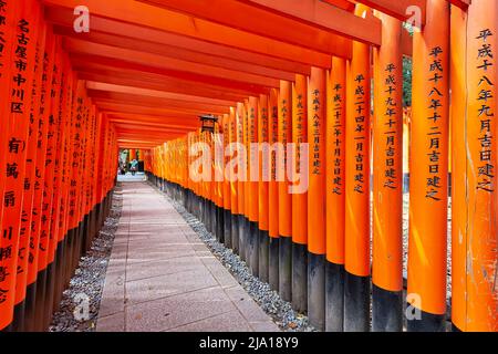 Japan. Kyoto. Fushimi Inari Taisha-Schrein Stockfoto