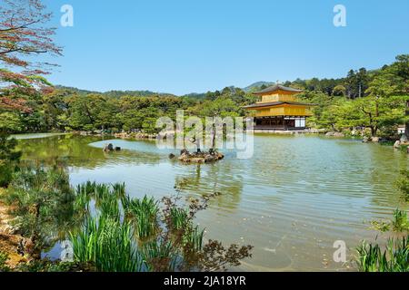 Japan. Kyoto. Kinkaku-ji-Tempel (der Goldene Pavillon) Stockfoto