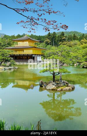 Japan. Kyoto. Kinkaku-ji-Tempel (der Goldene Pavillon) Stockfoto