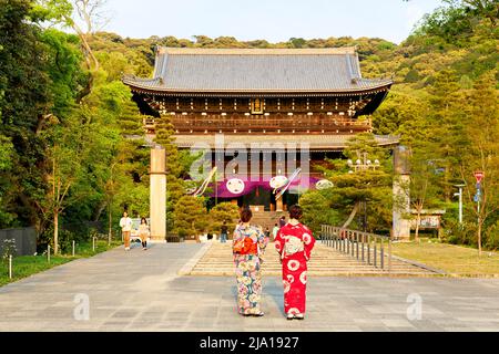 Japan. Kyoto. Frauen in Chion im Tempel mit traditionellem Kimono gekleidet Stockfoto